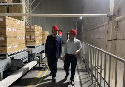 区管委会主任蒋福森赴我公司调研安全生产工作